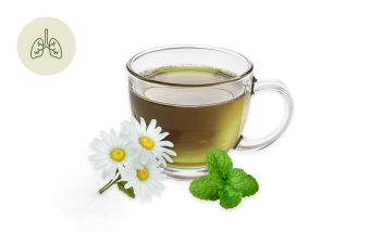 Tisana Balsamica con eucalipto, menta e camomilla: benessere per vie respiratorie e stomaco