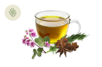 Tisana per il Gonfiore di Pancia: rimedio naturale con finocchio, anice e melissa per la digestione e il comfort addominale