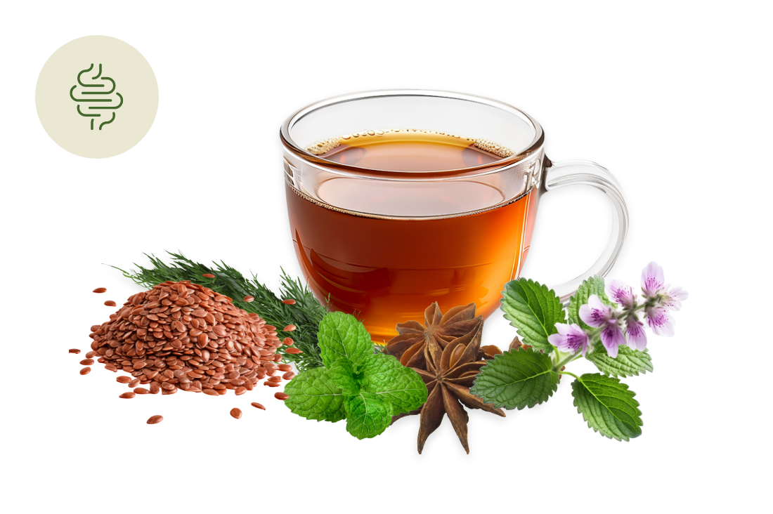 Tisana naturale per il reflusso gastrico con melissa, malva, finocchio, anice e semi di lino