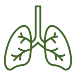 Tisana per le vie respiratorie con eucalipto, altea, echinacea e menta: libera il respiro, allevia tosse e mal di gola, e sostiene le difese naturali nei mesi freddi